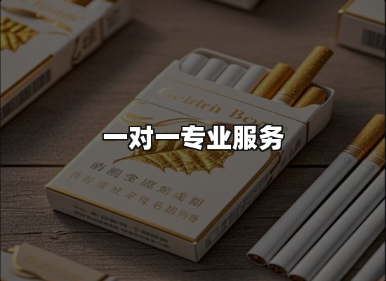 专业优势